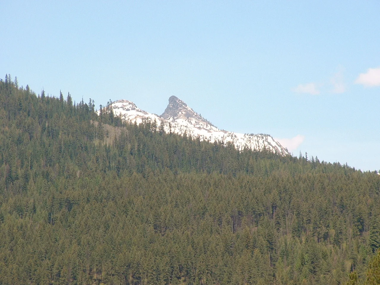 A snow-touched mountain ridge above the forest from Michael Seward's original archive