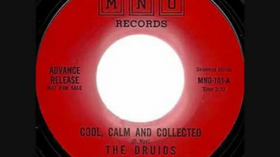 Label image for The Druids recording Sorry's Not Enough